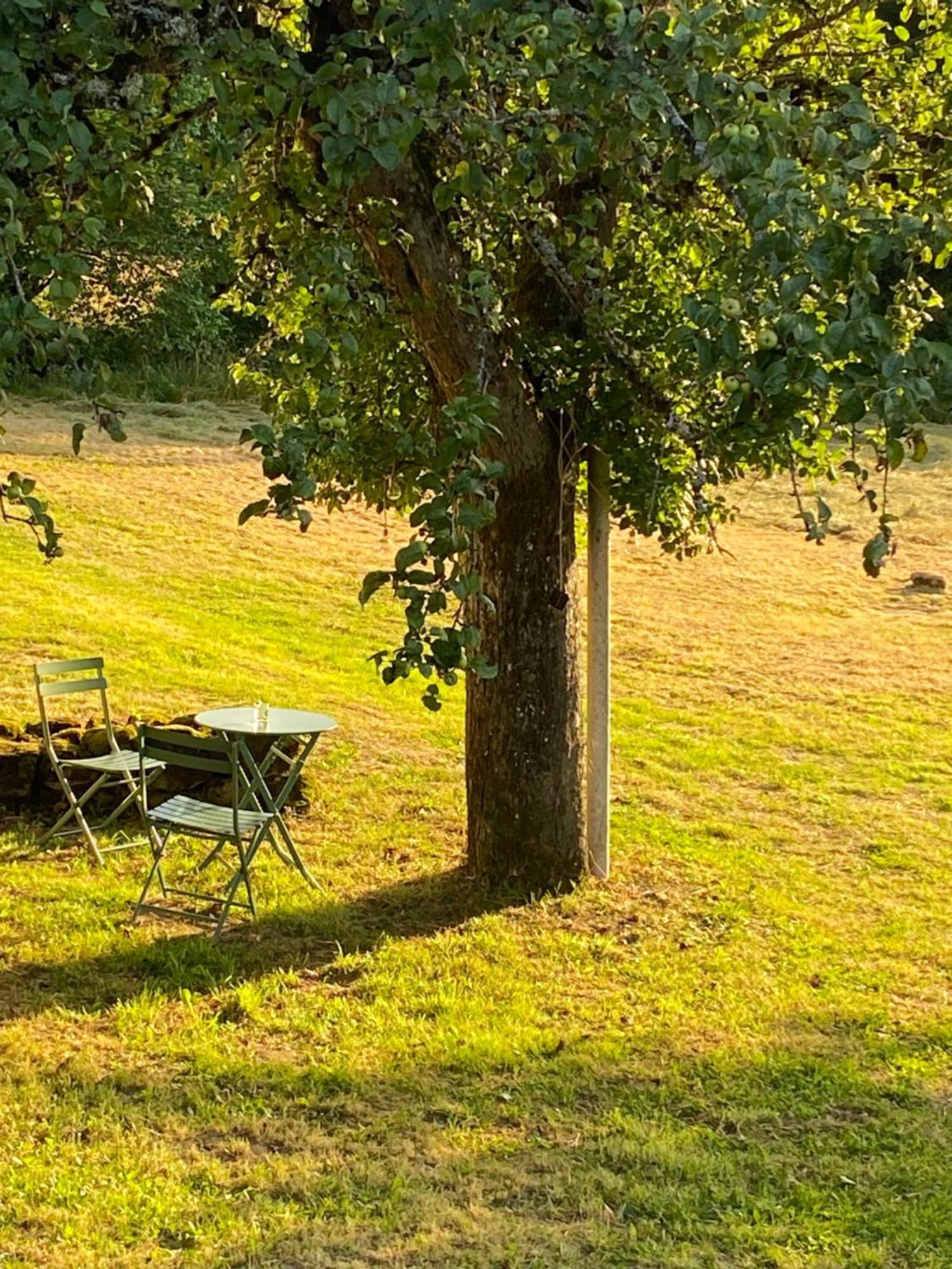 Une Pause En Correze Sarroux 외부 사진